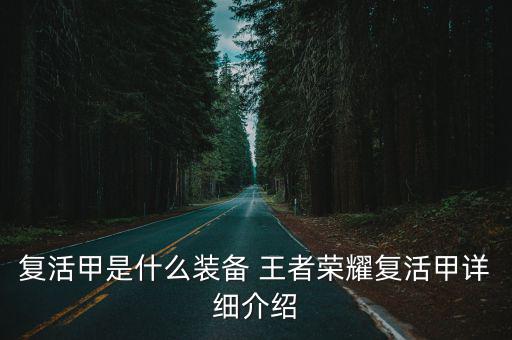 复活甲是什么装备 王者荣耀复活甲详细介绍