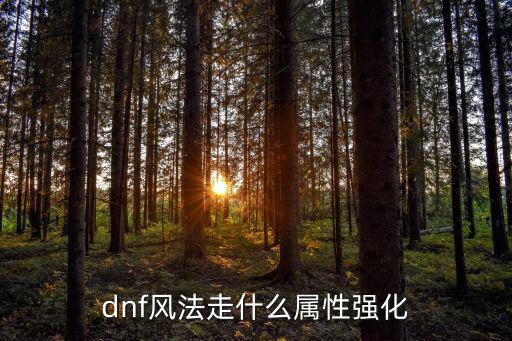 dnf风法走什么属性强化