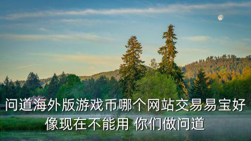 问道海外版游戏币哪个网站交易易宝好像现在不能用 你们做问道