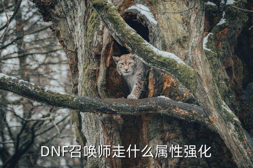 dnf召唤什么属性强化，DNF召唤走什么属强好