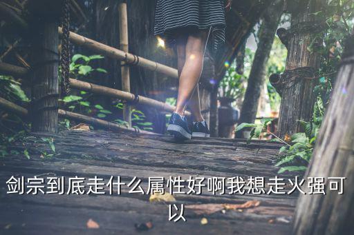 剑宗到底走什么属性好啊我想走火强可以