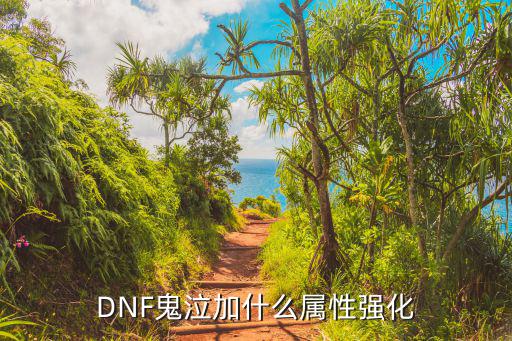 DNF鬼泣加什么属性强化