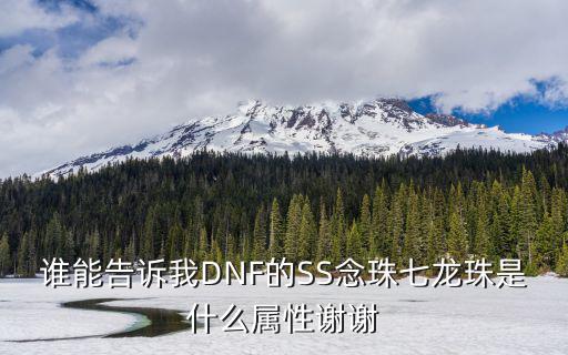 谁能告诉我DNF的SS念珠七龙珠是什么属性谢谢