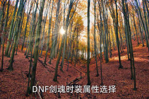 dnf时装属性有什么，dnf剑魂时装属性选择