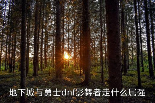 dnf影舞者属性堆什么，dnf影舞者时装选什么属性选择技能选择