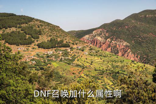 DNF召唤加什么属性啊