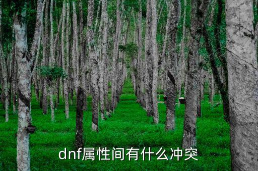 dnf属性间有什么冲突