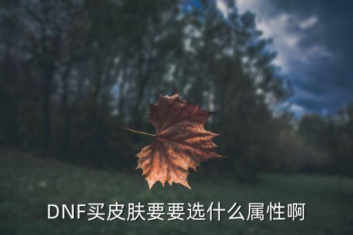 DNF买皮肤要要选什么属性啊