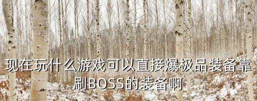 现在玩什么游戏可以直接爆极品装备靠刷BOSS的装备啊