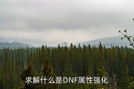 求解什么是DNF属性强化