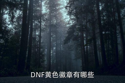 dnf黄色徽章什么属性，DNF黄色徽章有哪些