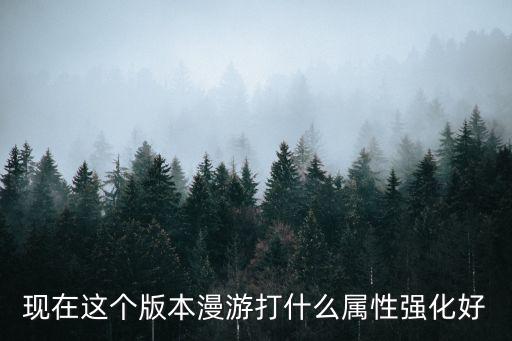 现在这个版本漫游打什么属性强化好