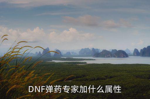 dnf弹药穿什么属性，DNF时装弹药加什么属性好