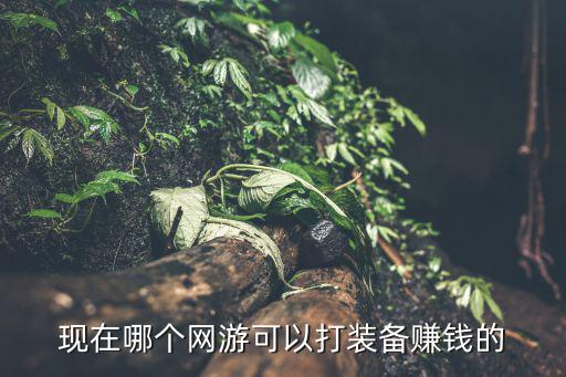 现在哪个网游可以打装备赚钱的