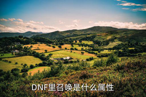 DNF里召唤是什么属性