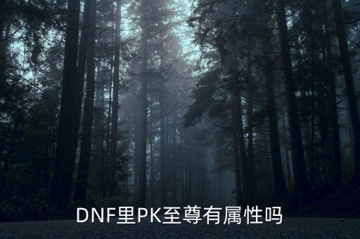 DNF里PK至尊有属性吗