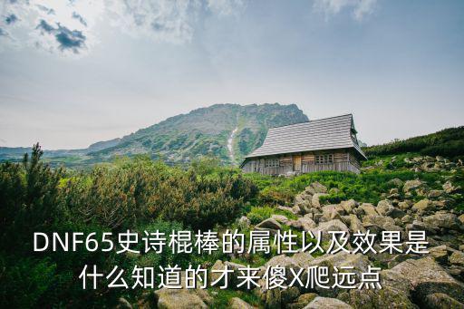 DNF65史诗棍棒的属性以及效果是什么知道的才来傻X爬远点