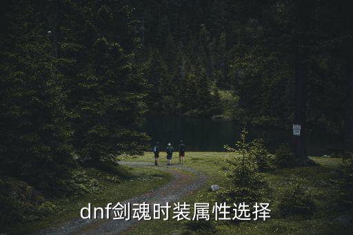 dnf剑魂时装属性选择