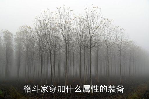 格斗家穿加什么属性的装备