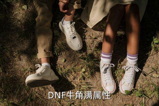 DNF牛角满属性