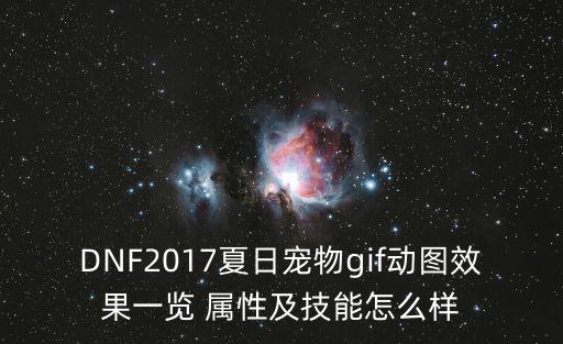 DNF2017夏日宠物gif动图效果一览 属性及技能怎么样