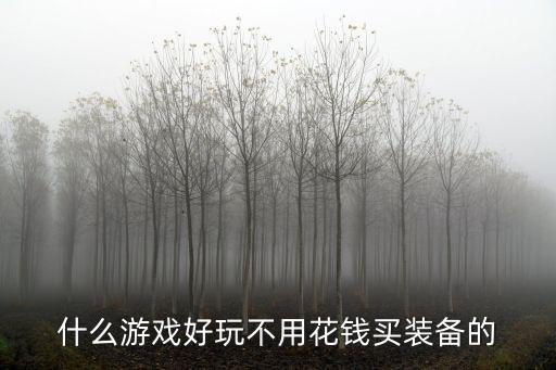 什么游戏装备不要钱，有没有什么不需要打装备不需要花钱的好玩大型游戏本人只是平时消遣一