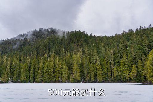 500元能买什么