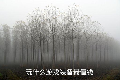 玩什么游戏装备最值钱