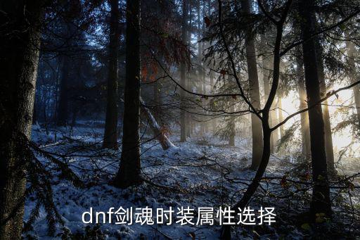 dnf剑魂时装属性选择