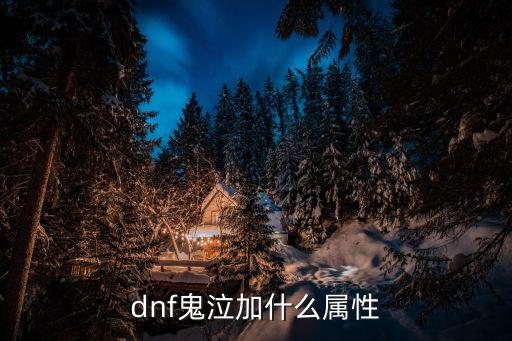 dnf鬼泣加什么属性