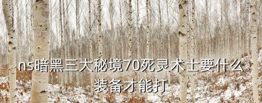 ns暗黑三大秘境70死灵术士要什么装备才能打