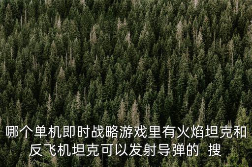 哪个游戏装备随机火焰，我想找一款单机的角色扮演类游戏最好是随机打出装备属性自己挑