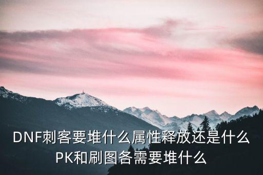 DNF刺客要堆什么属性释放还是什么PK和刷图各需要堆什么