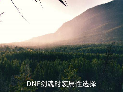 DNF剑魂时装属性选择