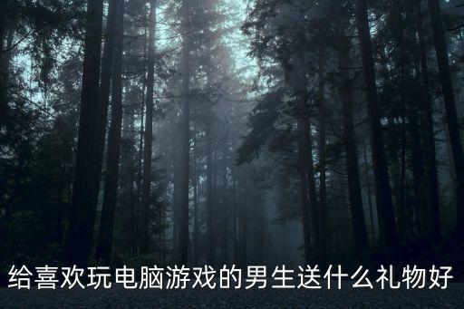 给喜欢玩电脑游戏的男生送什么礼物好