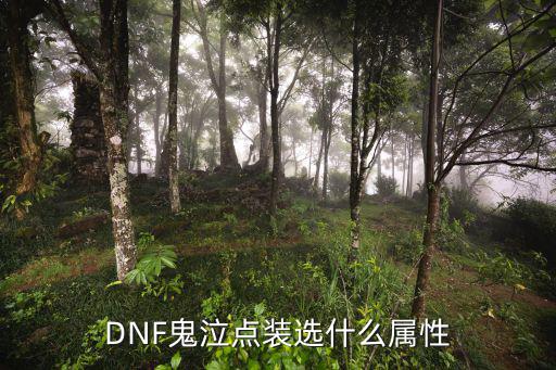 dnf鬼泣带什么属性，DNF鬼泣应该加什么属性