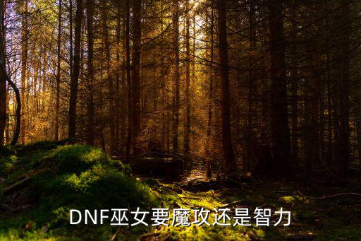 DNF巫女要魔攻还是智力