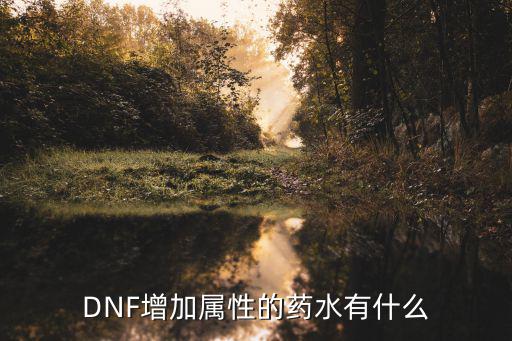 DNF增加属性的药水有什么