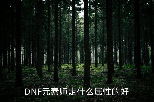 dnf元素推什么属性，DNF元素选什么属性精通PK刷图都适用