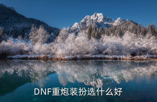 重炮选什么属性dnf，DNF重炮装扮选什么好