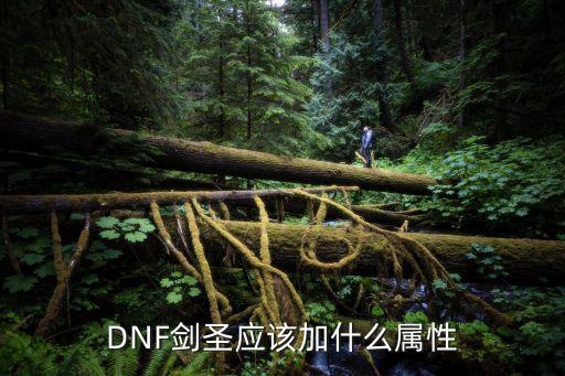 DNF剑圣应该加什么属性