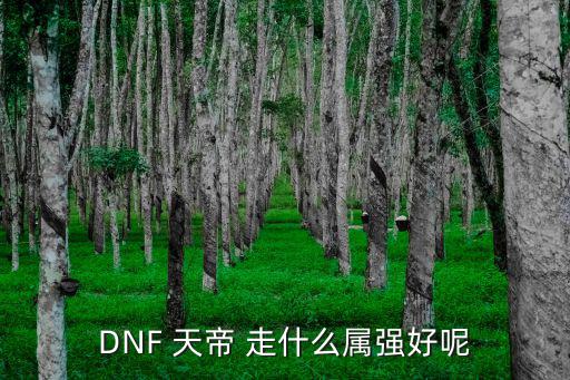 DNF 天帝 走什么属强好呢