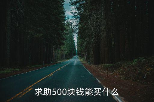 求助500块钱能买什么