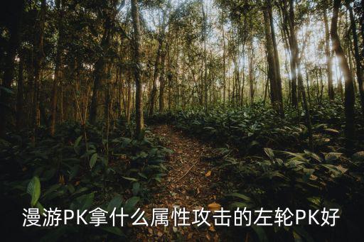 漫游PK拿什么属性攻击的左轮PK好