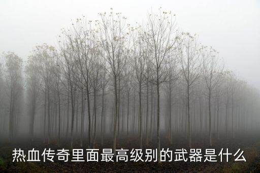 传奇游戏装备最高纪录是什么，热血传奇里面最高级别的武器是什么