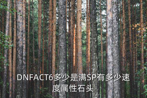 DNFACT6多少是满SP有多少速度属性石头