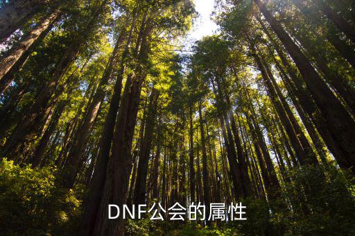 dnf公会属性都有什么，DNF公会的属性