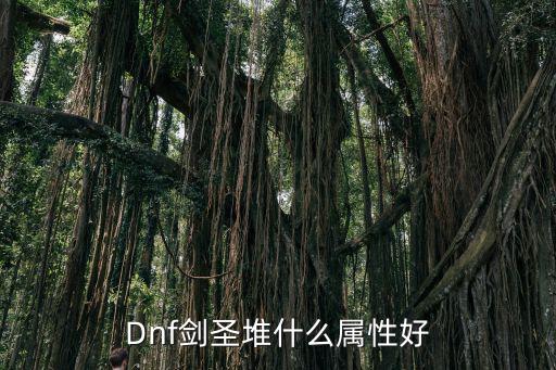 Dnf剑圣堆什么属性好