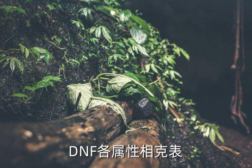 DNF各属性相克表