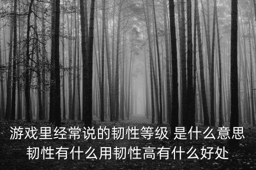 游戏装备韧性是什么意思，装备韧性属性解析 装备韧性到底有什么用